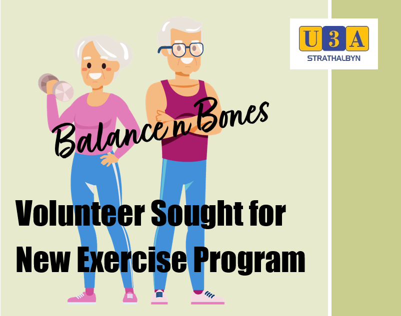 Balance ‘n’ Bones